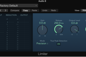 How To use Limiter In Mixing